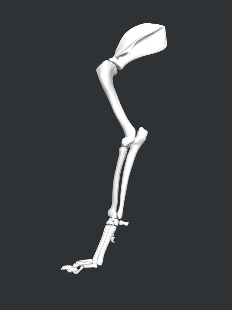 Canine ARM (ÇOK_YAKINDA)